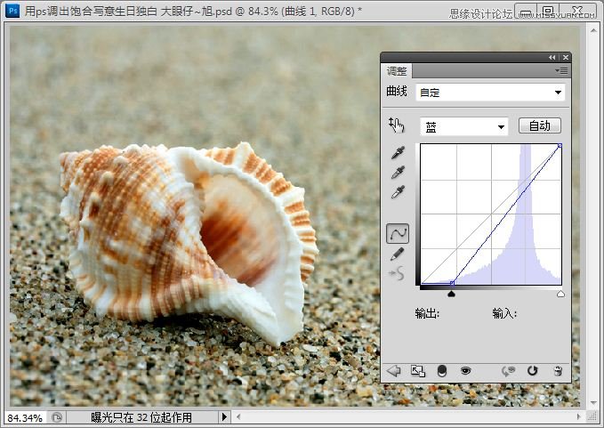 Photoshop快速调出写意海滩贝壳照片,PS教程,图老师教程网