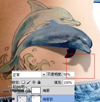 Photoshop制作海豚立体纹身效果,PS教程,图老师教程网