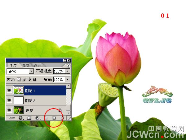 Photoshop制作荷花摄影漂亮的水彩画效果,PS教程,图老师教程网