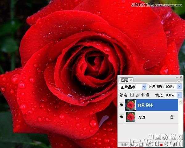 Photoshop将红玫瑰变成超酷的金色玫瑰,PS教程,图老师教程网