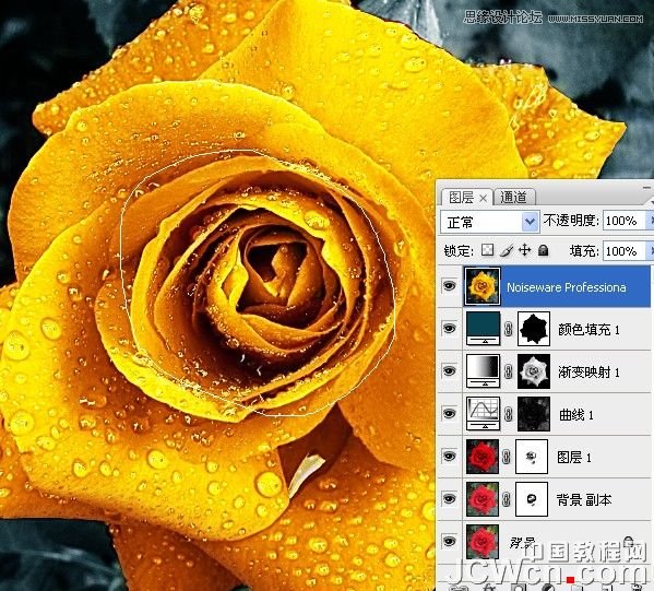 Photoshop将红玫瑰变成超酷的金色玫瑰,PS教程,图老师教程网