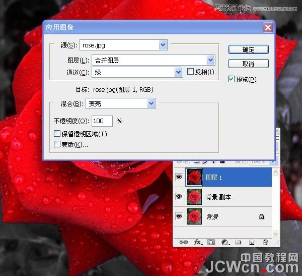 Photoshop将红玫瑰变成超酷的金色玫瑰,PS教程,图老师教程网