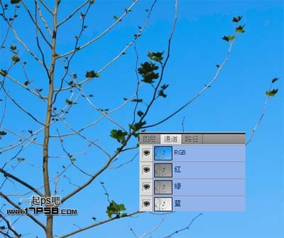 Photoshopʹͨͼ֦ͼ
