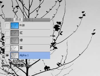 Photoshopʹͨͼ֦ͼ