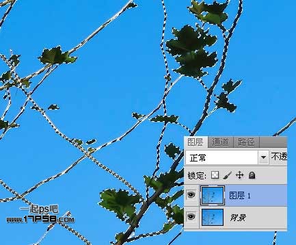 Photoshopʹͨͼ֦ͼ