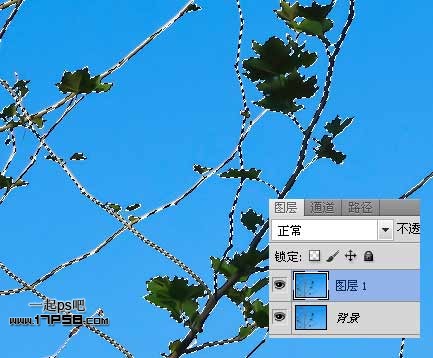 Photoshop使用通道和计算命令给树枝抠图,PS教程,图老师教程网