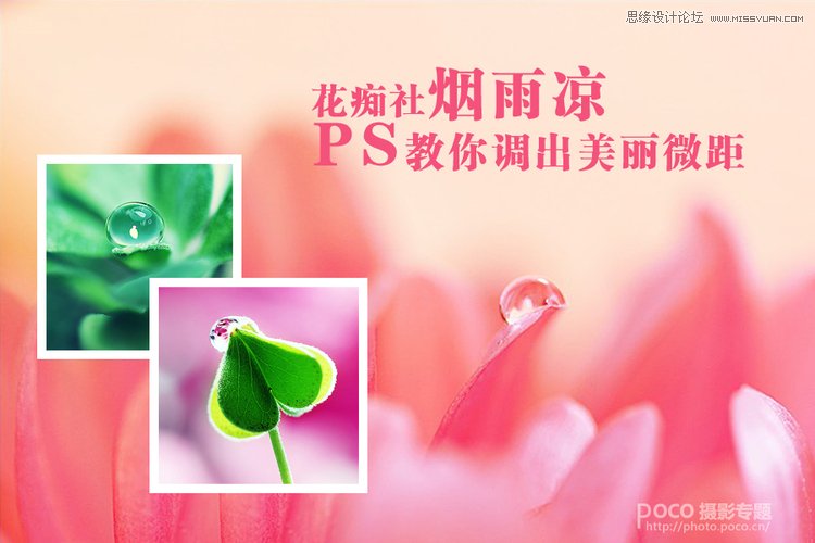 Photoshop简单调出唯美的微距花卉作品,PS教程,图老师教程网