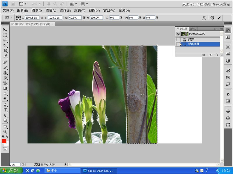 Photoshop变换工具对摄影图片进行后期构图,PS教程,图老师教程网