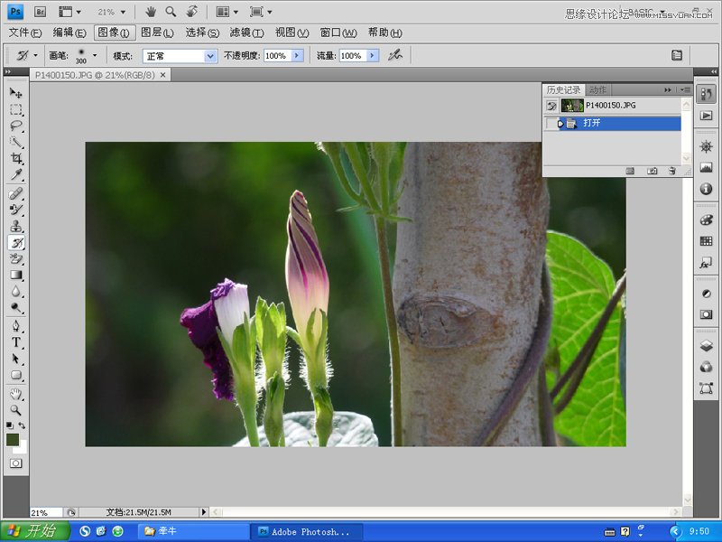 Photoshop变换工具对摄影图片进行后期构图,PS教程,图老师教程网