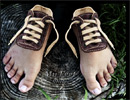 PhotoshopϳɳڽϵЬ