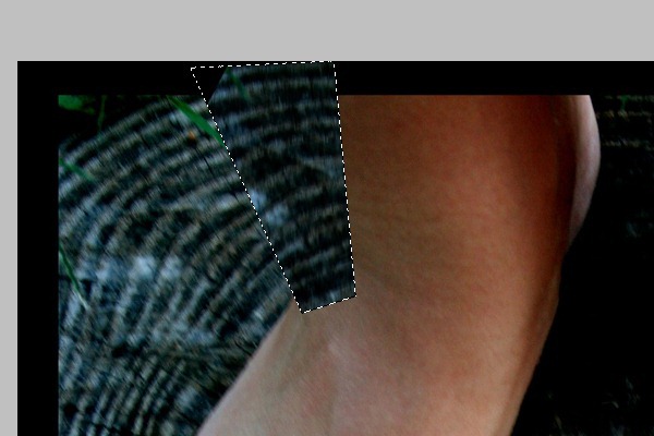 PhotoshopϳɳڽϵЬ