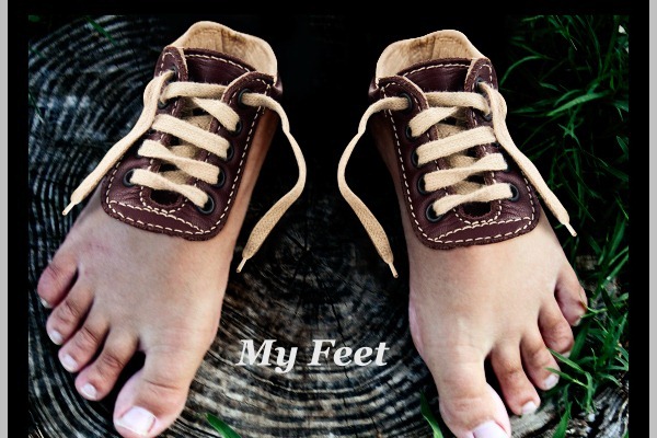 PhotoshopϳɳڽϵЬ