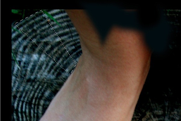 PhotoshopϳɳڽϵЬ