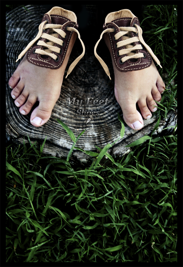 PhotoshopϳɳڽϵЬ