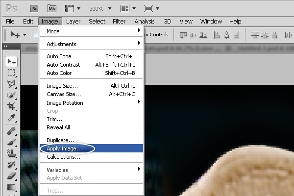 PhotoshopϳɳڽϵЬ