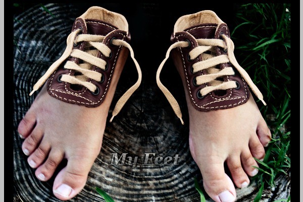 PhotoshopϳɳڽϵЬ