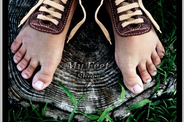 PhotoshopϳɳڽϵЬ