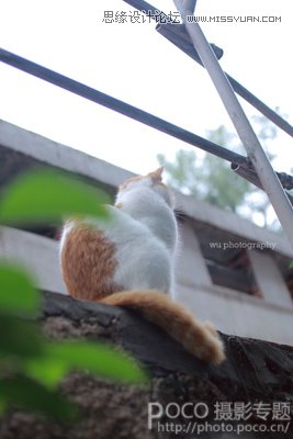 ȻϵӰȫ