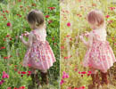 PhotoshopƬĻɫ