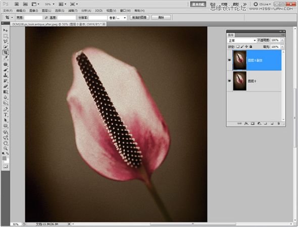 Photoshop调出怀旧的花朵教程,PS教程,图老师教程网