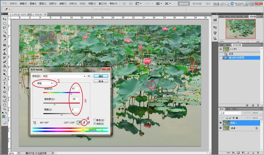 Photoshop调出蓝调夜景荷塘荷花教程,PS教程,图老师教程网