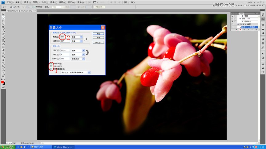 PhotoshopЧƬ߿
