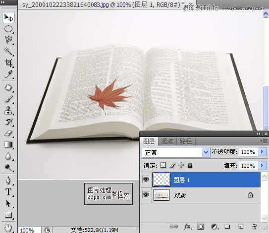 PhotoshopŴ󾵷Ŵ鼮Ч