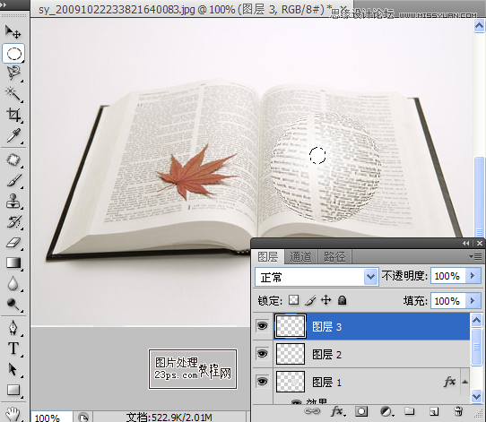 PhotoshopŴ󾵷Ŵ鼮Ч