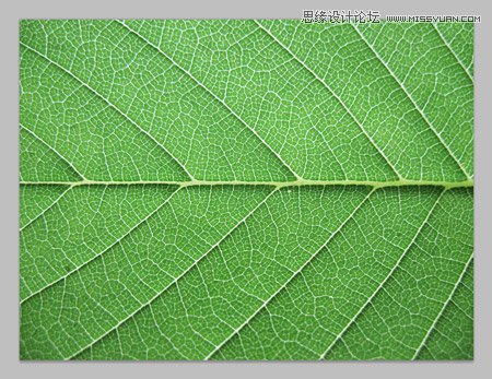 Photoshop创建清新的绿叶文字教程,PS教程,图老师教程网