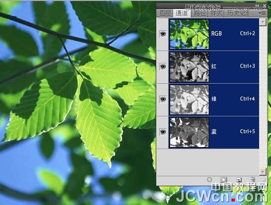 Photoshop通道简单将绿叶变黄叶效果,PS教程,图老师教程网