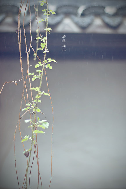 Photoshop给人物外景调出淡青日系色调效果,PS教程,图老师教程网