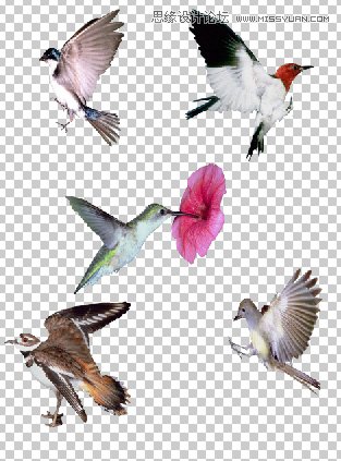PhotoshopϳɻӲƷЧͼ