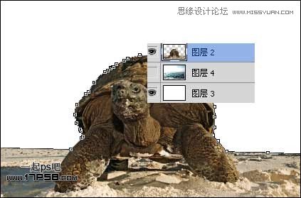 Photoshop创意合成乌龟海岛,PS教程,图老师教程网