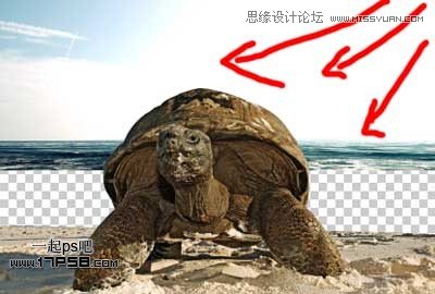 Photoshopϳڹ꺣