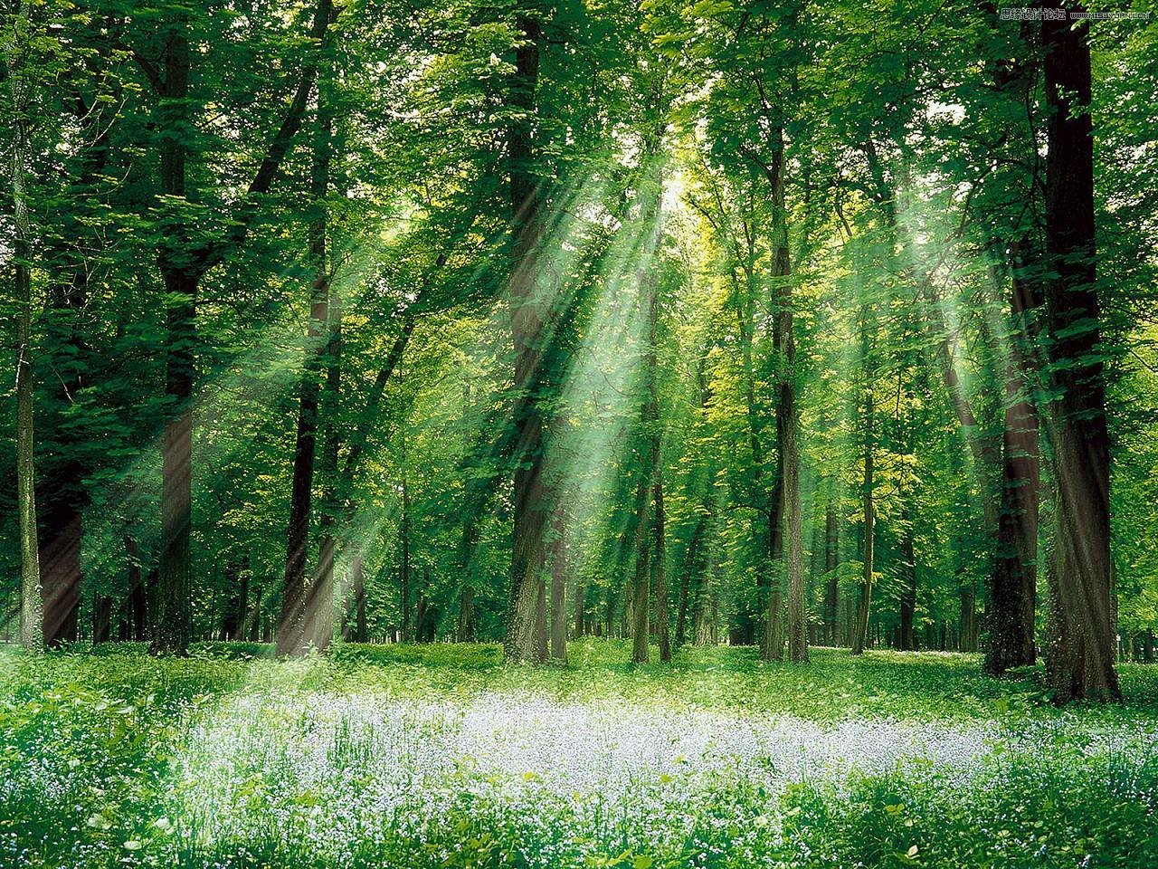 PhotoshopϳλõĺЧ