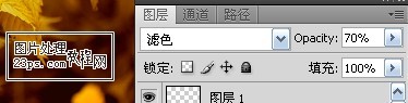 Photoshop调出外美女照片唯美的淡黄色调,PS教程,图老师教程网