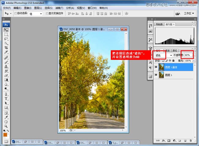 Photoshop调出公园树木秋季黄调,PS教程,图老师教程网
