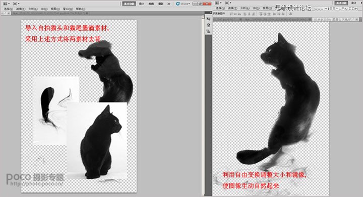 Photoshop合成蹲在树枝上的猫咪,PS教程,图老师教程网