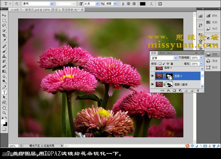 Photoshop增加后期花朵照片的颜色层次感,PS教程,图老师教程网