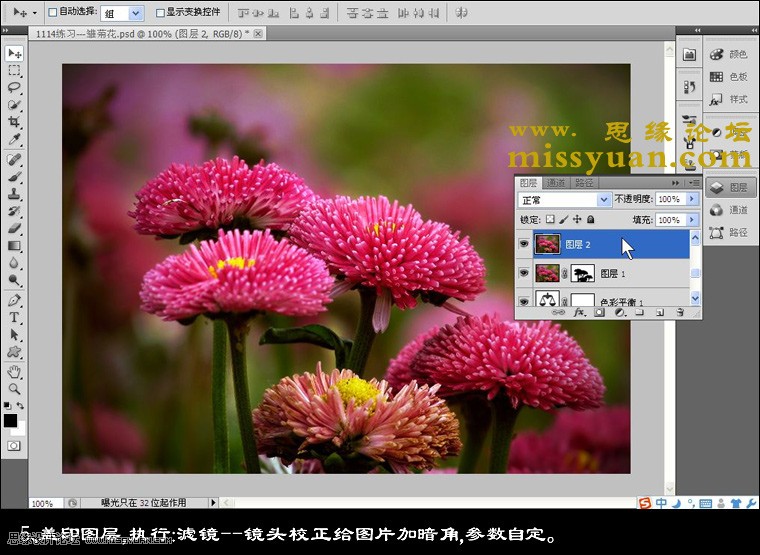 Photoshop增加后期花朵照片的颜色层次感,PS教程,图老师教程网