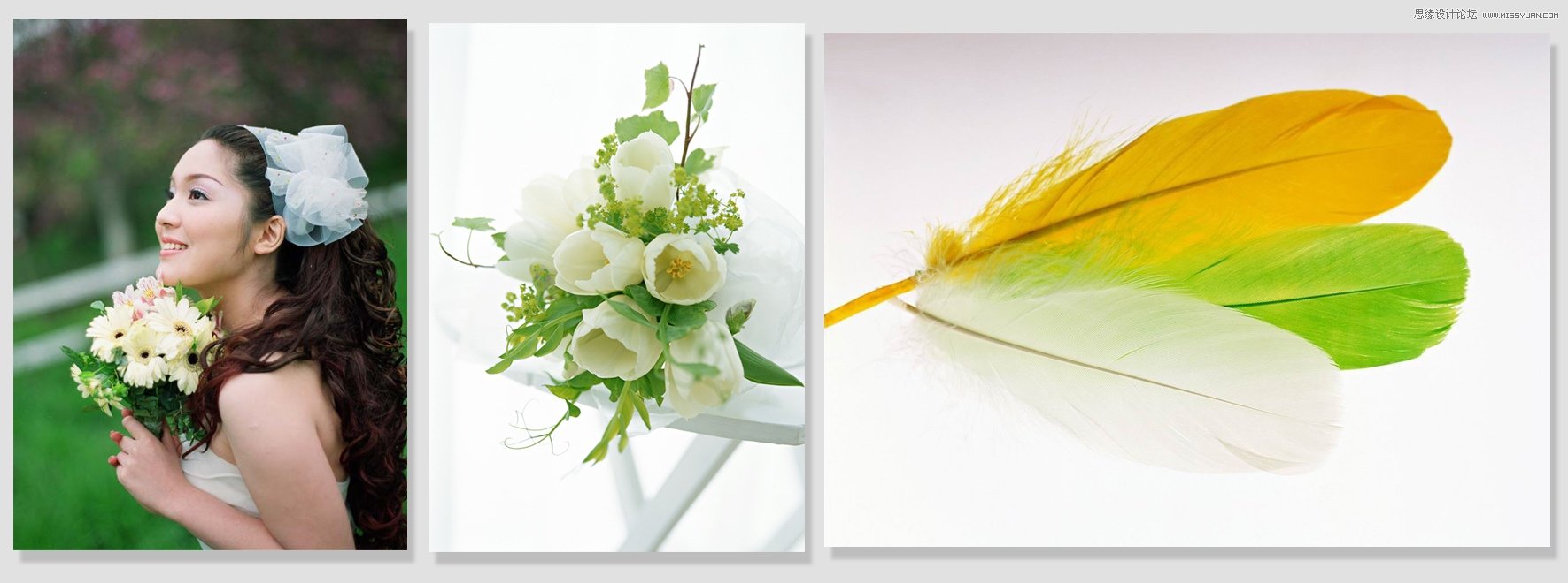 Photoshop制作清新的婚纱写真模板