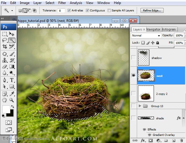 Photoshopϳɸոմĺ