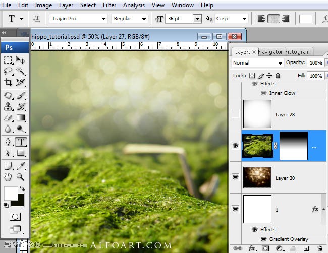 Photoshopϳɸոմĺ