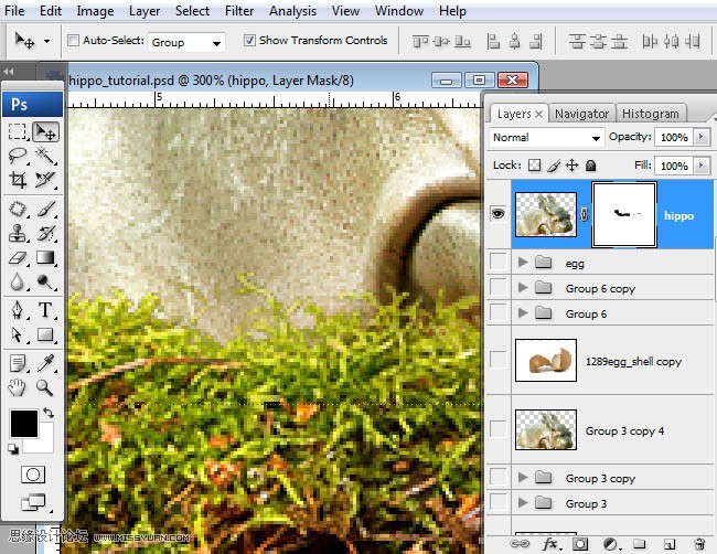 Photoshopϳɸոմĺ