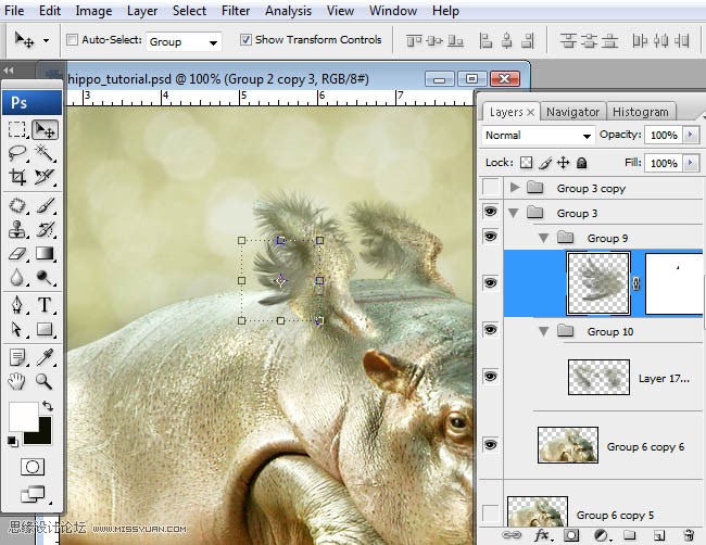 Photoshopϳɸոմĺ
