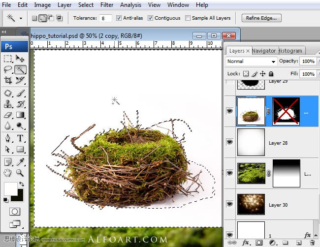 Photoshopϳɸոմĺ