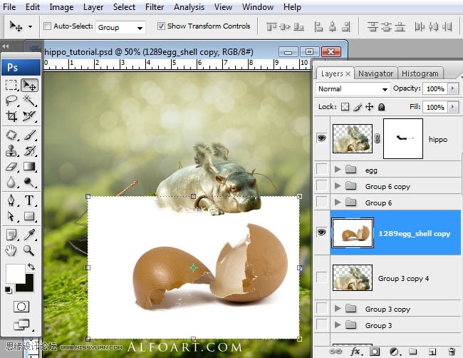 Photoshopϳɸոմĺ