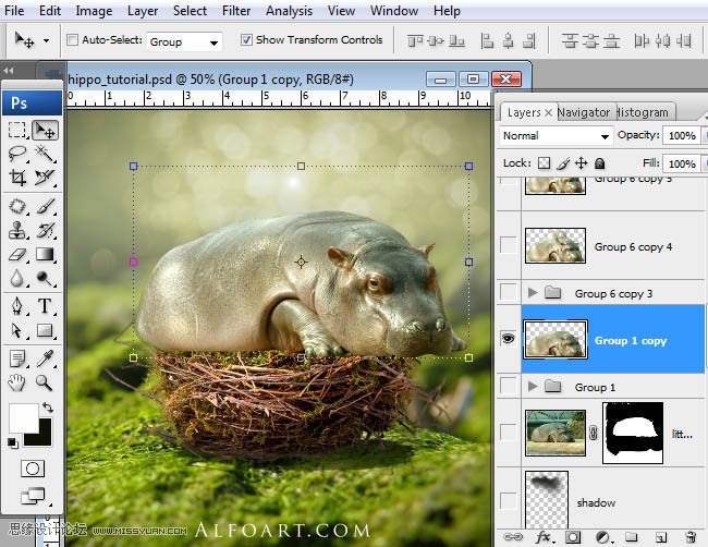 Photoshopϳɸոմĺ