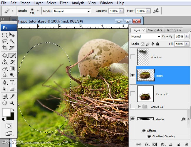 Photoshopϳɸոմĺ