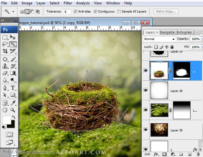 Photoshopϳɸոմĺ